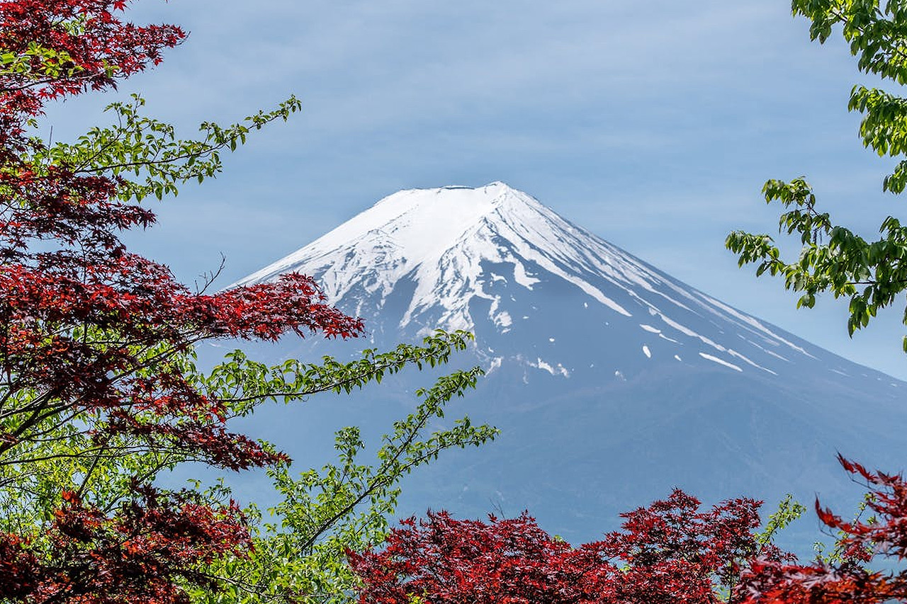 flight offers addisababa 1